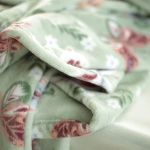 绿色蝴蝶单层加厚印花毯子沙发盖毯床尾搭巾拍照毛毯加厚床单