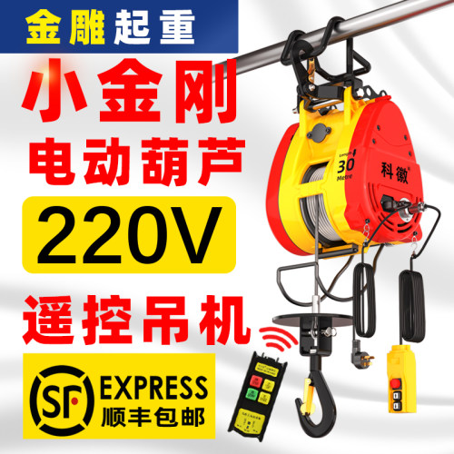 小金刚电动葫芦220v家用吊机小型