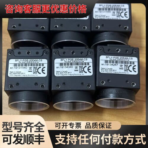 议价灰点BFLY-PGE-20E4M-CS可维修