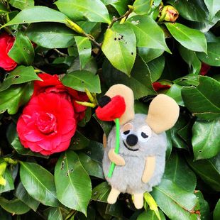 日本  儿童手绘本 拿花的田鼠阿佛 老鼠 毛绒玩具公仔 冰箱贴