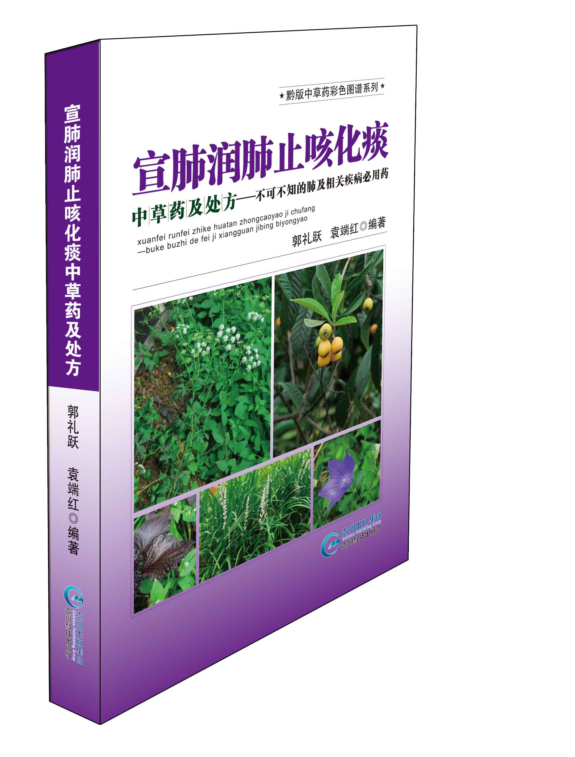 宣肺润肺止咳化痰中草药及处方 : 不可不知的肺及相关