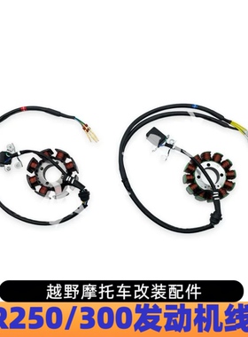 适用波速尔M10 M11极盗者5华洋T4宗申PR250 PR300 8级/12级线圈