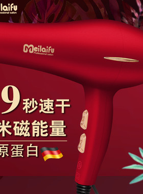吹风机大功率3000w超大理发店发型师发廊专用负离子护发电吹风筒