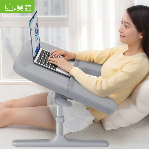 赛鲸26年新品KB1灰色带扶手支撑