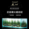 煙火超白缸水族箱超白魚缸定做定制金晶玻璃客廳造景水草烏龜缸
