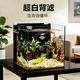 超白背滤鱼缸桌面方形生态缸轻松养鱼家用观赏缸