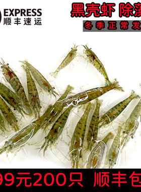 黑壳虾除藻虾鲜活观赏虾清洁草虾淡水虾活体樱花虾活虾耐活冷水虾