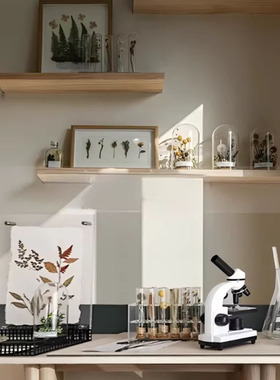 样板间玻璃罩植物干花标饰品摆件