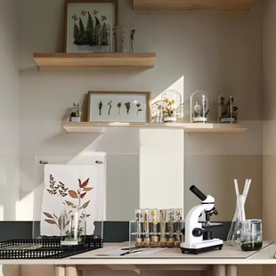 样板间售楼处书房柜饰品摆件玻璃罩植物干花标本手工主题组合套装