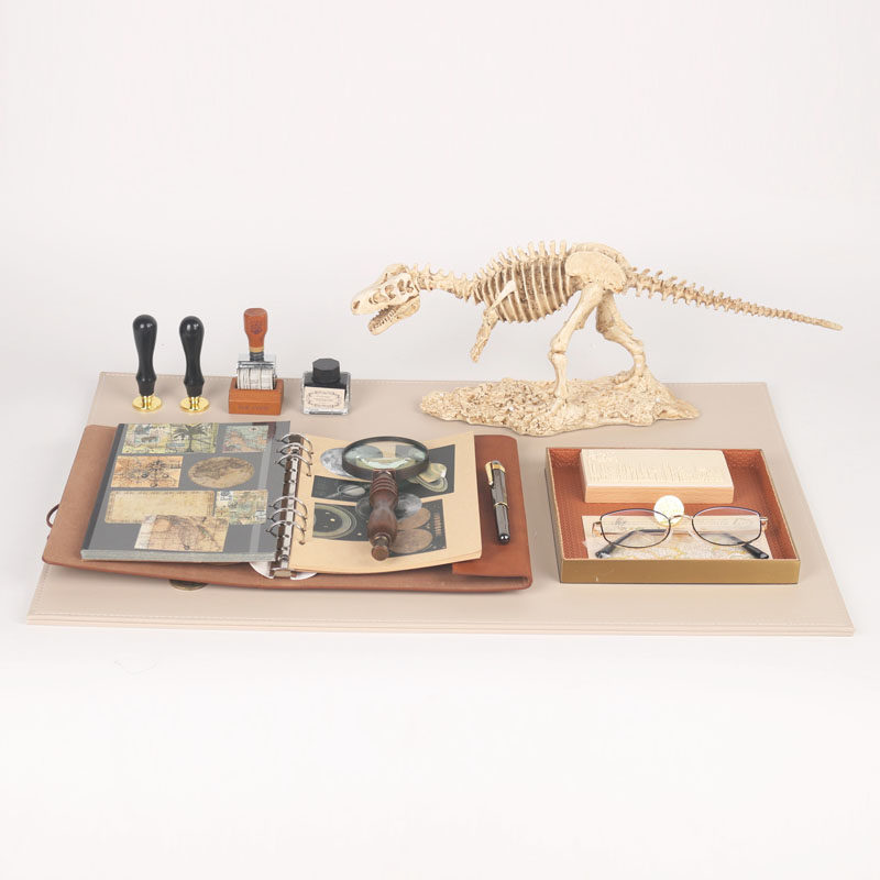 现代简约样板间儿童房放大镜恐龙化石主题软装组合装饰品桌面摆件
