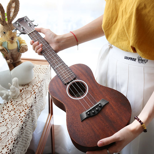 andrew安德鲁尤克里里初学者入门