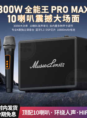 柏林之声蓝牙音响家用ktv大功率300w户外k歌便携式乐器音箱广场舞