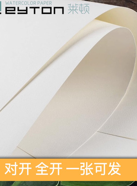 莱顿水彩纸纯棉彩铅纸230G300G450G600GK0K1单张设计手绘美术专业
