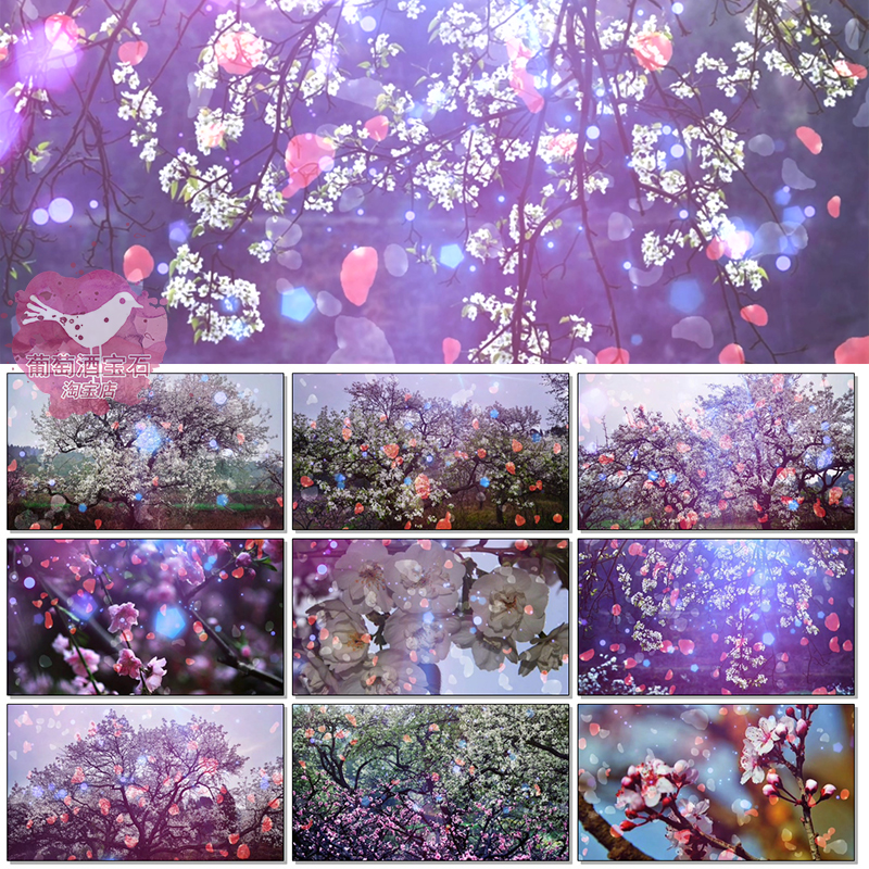 何必西天万里遥歌曲配乐西游记桃花梨花大屏幕led背景视频素材