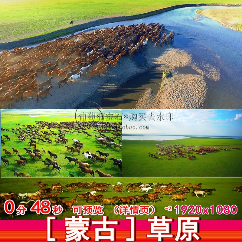 内蒙古游牧民族大草原马群骏马万马奔腾牧马套马放马航拍视频素材