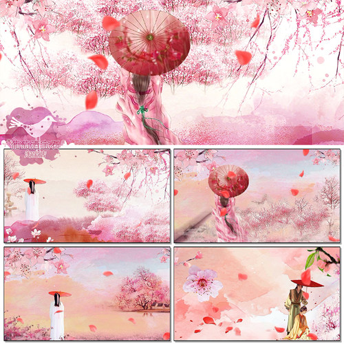 桃花情半壶纱唯美水墨桃花飞古典爱情唐汉装led大屏背景视频素材