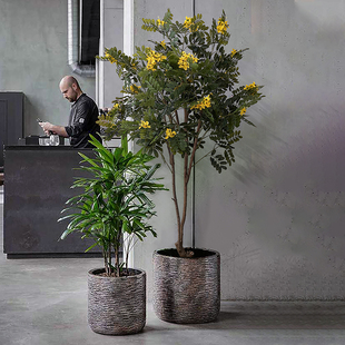 落地北欧盆栽 仿真植物装 饰黄槐花树绿植大型假树客厅办公室软装