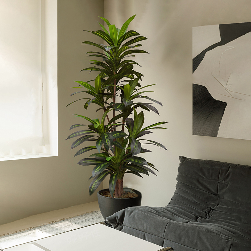 仿真植物巴西木假绿植