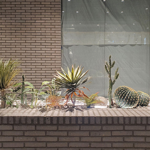 仿生绿植服装店角落大落地仙人掌