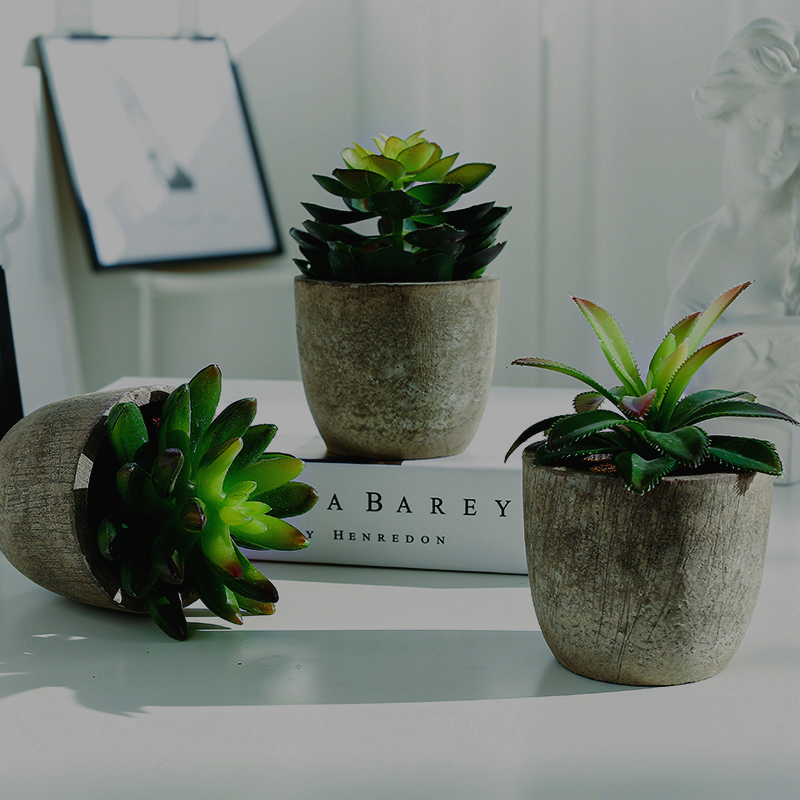 北欧风迷你植物多肉室内假塑料花