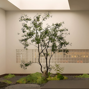 仿真绿植装 饰造景鸡爪槭大型假树植物室内餐饮商场会所微景观软装