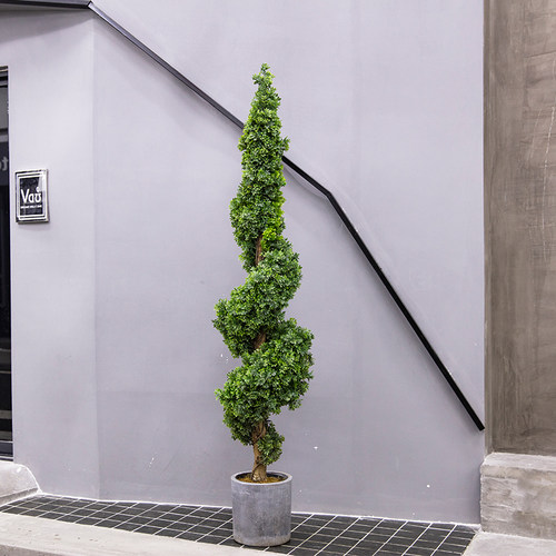 仿真植物装饰大绿植米仔兰客厅室内北欧落地家居摆件假树球型盆栽 - 封面