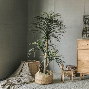 仿真植物盆景绿植盆栽假马尾铁北欧风格 饰家居室内客厅落地摆件 装