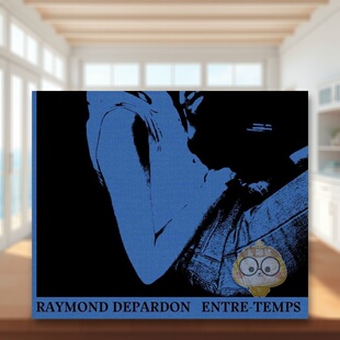 【现货】雷蒙德帕顿同时【Raymond Depardon】Entre-Temps法文摄影Raymond Depardon精装Editions Xavier Barr进口原版书书籍图书