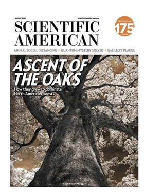 订阅 科学美国人 Scientific American Magazine 年订12期 美国英文原版科普杂志期刊图书订阅进口书刊 F046