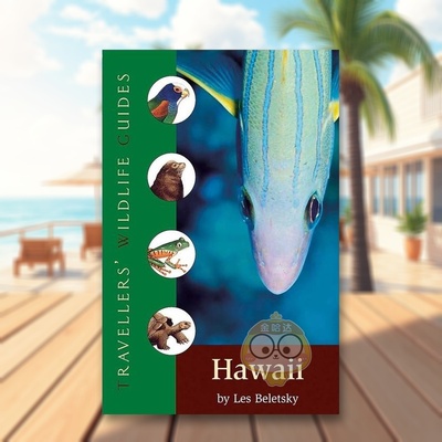 【预售】夏威夷旅行者指南Hawaii Interlink Traveller's Wildlife Guide英文旅行平装进口原版书Les Beletsky Interlink Publis书
