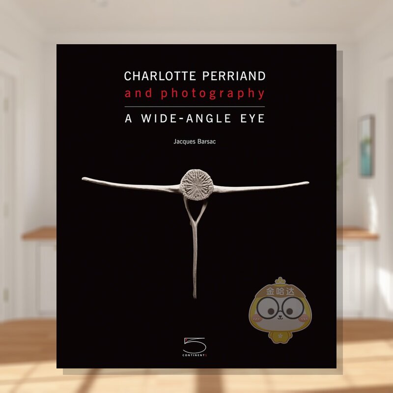 夏洛特?佩里安与摄影 Char