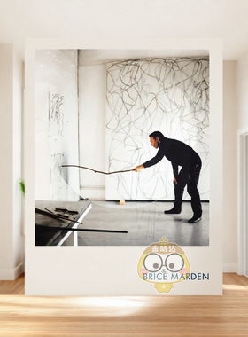 【预售】布赖斯·马登 Brice Marden 原版英文艺术画册画集进口书籍图书外版正版