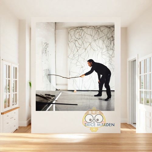 布赖斯&middot;马登 Brice Ma