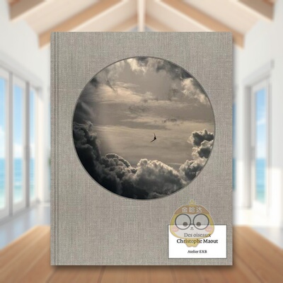 【现货】【Christophe Maout】鸟类英文版Des Oiseaux Christophe Maout法文摄影Christophe Maout精装Editions Xavier Barr进口原