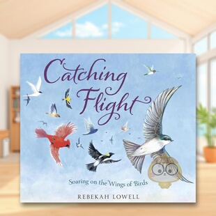 【预售】抓紧飞行:挥动翅膀翱翔英文儿童绘本插画师进口原版外版书精装Catching Flight:Soaring on the Wings of Birds Rebekah书