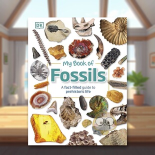 【现货】【DK生活事实丛书】化石英文儿童绘本知识百科进口原版外版书精装9岁-12岁【My Book of】FossilsDean R. LomaxDK Child书