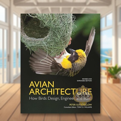【预售】鸟类建筑鸟类如何设计工程师和建造 修订扩展版英文社会科学进口原版外版书精装14岁以上Avian Architecture Revised an书