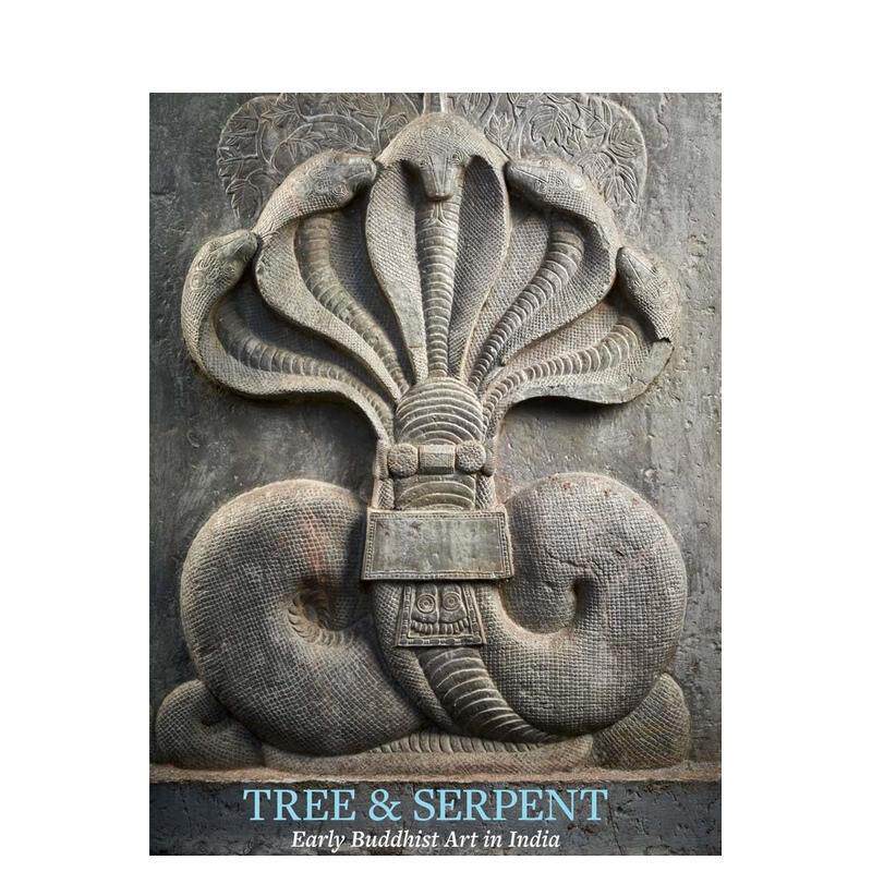 【现货】树与蛇：印度的早期佛教艺术 Tree and Serpent: Early Buddhist Art in India 英文原版艺术进口书籍图书外版正版