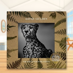 书精装 预售 英文摄影纪实进口原版 14岁以上David Dread Gulden：无惧无望 Nor David Ho书 非洲平原摄影记录 Gulden 外版