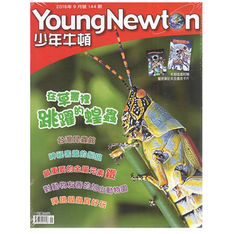 订阅 少年牛頓(少年牛顿) 台湾繁体中文 儿童科普杂志 年订12期