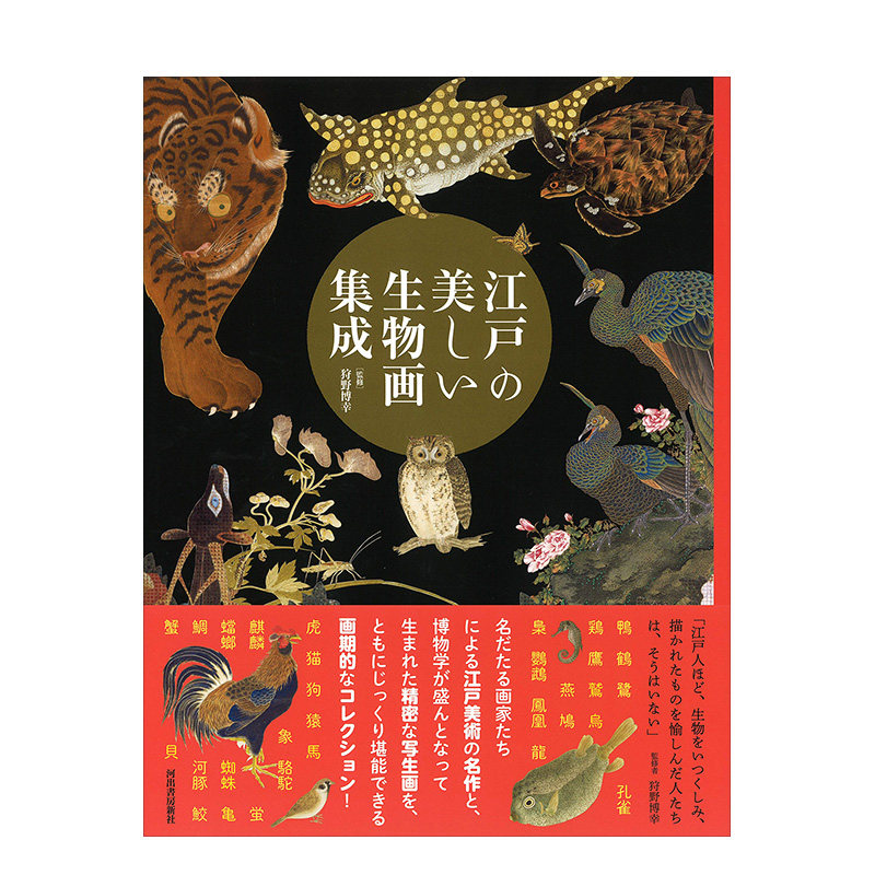 江户美丽生物画集成 江戸の美しい生物画集成 日文进口原版 花鸟画