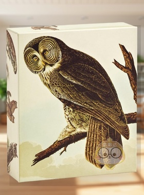 【预售】奥杜邦猫头鹰：速记卡片册 Audubon Owls QuickNotes 原版卡牌进口书籍图书外版正版