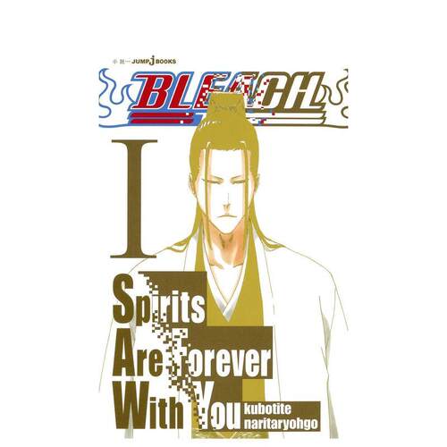BLEACH 小说 Spiri