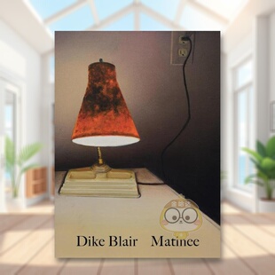 Blair York书籍图 DikeBlair午后场英文艺术家艺术工作室Dike New Books MatineeKarma 14岁以上Dike 书精装 Blair进口原版 预售