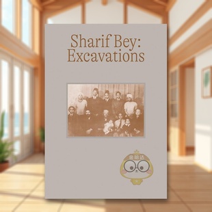 James StewartCarn Bey：挖掘英文外国美术当代进口原版 14岁以上Sharif Bey 书简装 艺术家Sharif 外版 ExcavationsDr. 预售