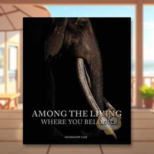 【预售】在生者之中：你属于哪里英文摄影摄影师专辑进口原版外版书精装14岁以上Among the Living: Where You Belong Guadalupe书