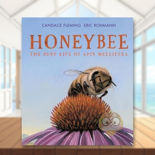 生活英文儿童绘本动物生态环保进口原版 Mel书 Apis The 预售 蜜蜂：意大利蜜蜂忙碌 Busy 书精装 外版 Life 6周岁Honeybee