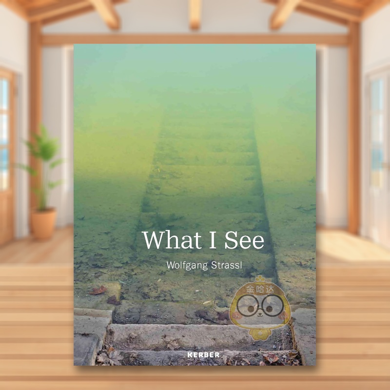 我所见：沃尔夫冈·斯特拉斯尔