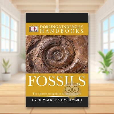 【预售】化石（DK史密森尼学会科普书籍）英文社会科学进口原版外版书大平装Fossils (DK Smithsonian Handbook) DK DK (US)图书正