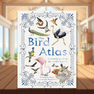 Bird Bar 6岁精装 现货 鸟类图集世界鸟类丰富插图指南The the Atlas Birdlife英文青少年读物3 Pictorial World’s Guide